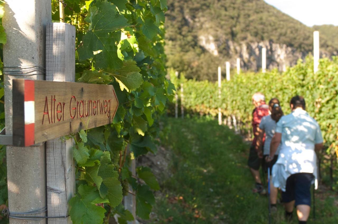 Santlhof - Sauvignon Apartman Cortaccia Kültér fotó